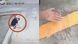 操碎了心！驾校教练企图帮学员作弊 考场内画暗号