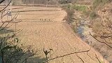 儿童放学归来早，谁小时候还没个秘密基地了