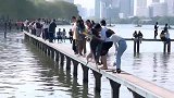 二哈我不游，主人不，你想游