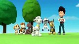 汪汪队立大功：打盹的小砾听到动画片的音乐立刻醒过来