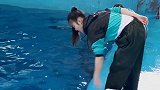 海豚：吃点小鱼我容易吗