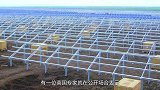 英国专家：中国太聪明了，一个世界难题被中国人用几千只羊就搞定