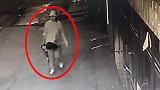 重庆失踪女子被找到后警方称未怀孕 丈夫：之前摸肚子鼓鼓的