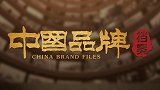 《中国品牌档案》20200712期：与对外开放同行的行业先锋