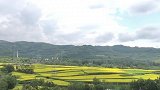 随处一拍，都是这美景，现在这个季节，是最美的季节