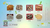 缓解糜烂性胃炎的中医古方
