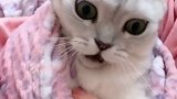 她打了小老三一巴掌，我要收拾她一个小时！