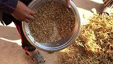 小姨子带我逛逛尼泊尔的小山村，顺便买点鸡肉