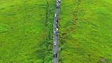 登山巨龙正在缓慢前行，已经没有撤退可言，此刻我只想回家