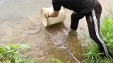 这就是不带抄网的结果，差点打起来了