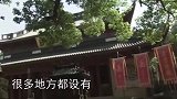 建康出土秦桧墓，墓中遗嘱揭秘岳飞死亡之谜，或许世人错怪了秦桧