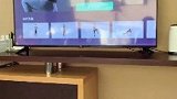 啥都没有图什么，图00后啊！
