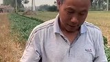 这样的变异西瓜很少见，但是不影响食用