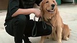 胎爸咋混的这地位