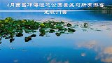 4月邛海湿地公园景区对所有游客免收门票