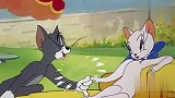 四川方言：耗儿药用计让黑猫横刀夺爱，笑看汤姆猫闹笑话，笑了