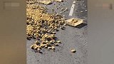 【宁夏】货车甩出数百只小鸡群众拿筐捡走：不捡会被车轧死