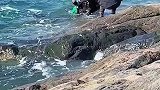 男子潜水连续两次被钓上岸