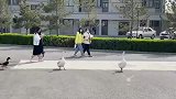 没有学生证的大鹅在询问保安大哥出门往哪里走