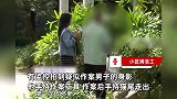 男子疑因泄愤剪掉流浪猫整条尾巴，监控拍下作案身影，警方介入