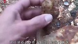 大爷上山随意捡回一块红色石头，朋友鉴定后，竟然价格不菲