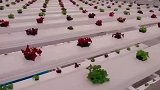 水培蔬菜快放30倍，生长速度肉眼可见