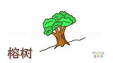 植物简笔画大全，画卡通榕树简笔画