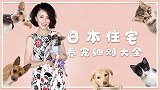 多花700万买房只为养猫？30%的溢价买房养宠物，你愿意吗？