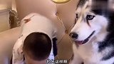 字写得好不好咱先不说，怎么眨眼出来个迪迦？