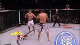 UFC-14年-UFC ON FOX13自由格斗：多斯桑托斯vs温顿-专题