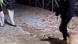 土路上有个斜坡，女生经过脚滑摔倒