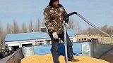 卖个粮食也能这样，几十斤没了，哪儿都是套路！