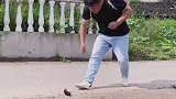 两根茄子也能玩一天