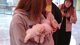 小伙子这次要倒霉了……