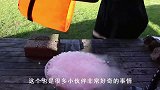 1600℃的铁球立誓要把冰块融化，接触那瞬间，大开眼界