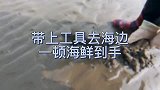 在海边，处处隐藏着海鲜！