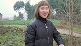 秋妹今天吃香辣鸭头，卤鸭头放大把辣椒翻炒爆香，配点小酒真过瘾