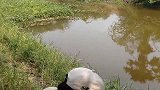钓鱼视频：如何钓淡水鳗鱼？