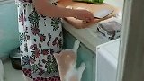 猫：主人你吃的啥，给我整点呀！