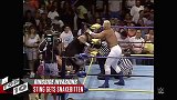 WWE-16年-十大场边入侵 圣盾猎狗扑食成经典-专题