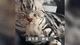 “你教我英语，我教你数学！” 中美网友小红书相见，互动内容公开