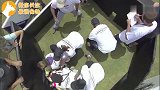 难以置信狗能跑这么快！难怪说跑车百米都跑不过狗