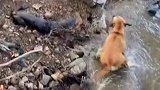 水濑三战吕布刘关张！