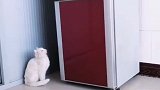 是时候表演真正技术了
