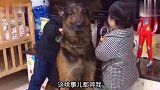 我还以为是人干的事呢，没想到你是吃不完要打包啊