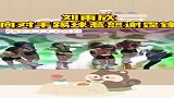 刘雨昕向对手踢球惹怒谢霆锋，这也太不尊重人了！