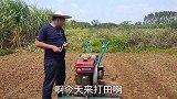 农忙季节，二胖这几天没空更新视频，耕地准备种番薯