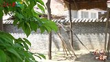 一座城·一首歌｜把这动人的故事传扬