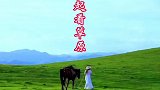 来我陪你一起看草原