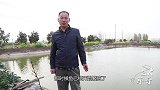 春季到来，怎样提高繁殖鱼苗成活率？听听强哥怎么说的